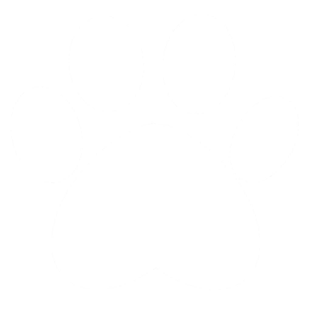 blog diario do pet, dicas e cuidados